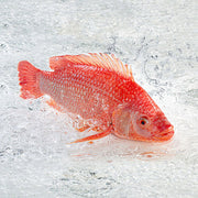 Bán chạy nhất at UMall Australia