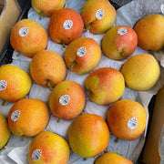 All Fruit at UMall Australia