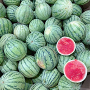 All Fruit at UMall Australia