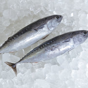 Catch of the Weekend at UMall Australia