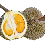 All Fruit at UMall Australia