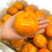 All Fruit at UMall Australia