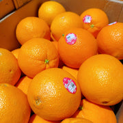 All Fruit at UMall Australia