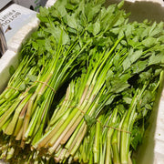 Bán chạy nhất at UMall Australia