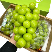 All Fruit at UMall Australia