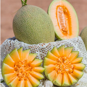 Dưa at UMall Australia