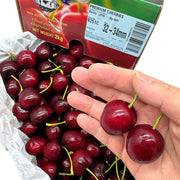 All Fruit at UMall Australia