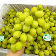 All Fruit at UMall Australia