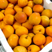 All Fruit at UMall Australia