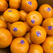 All Fruit at UMall Australia