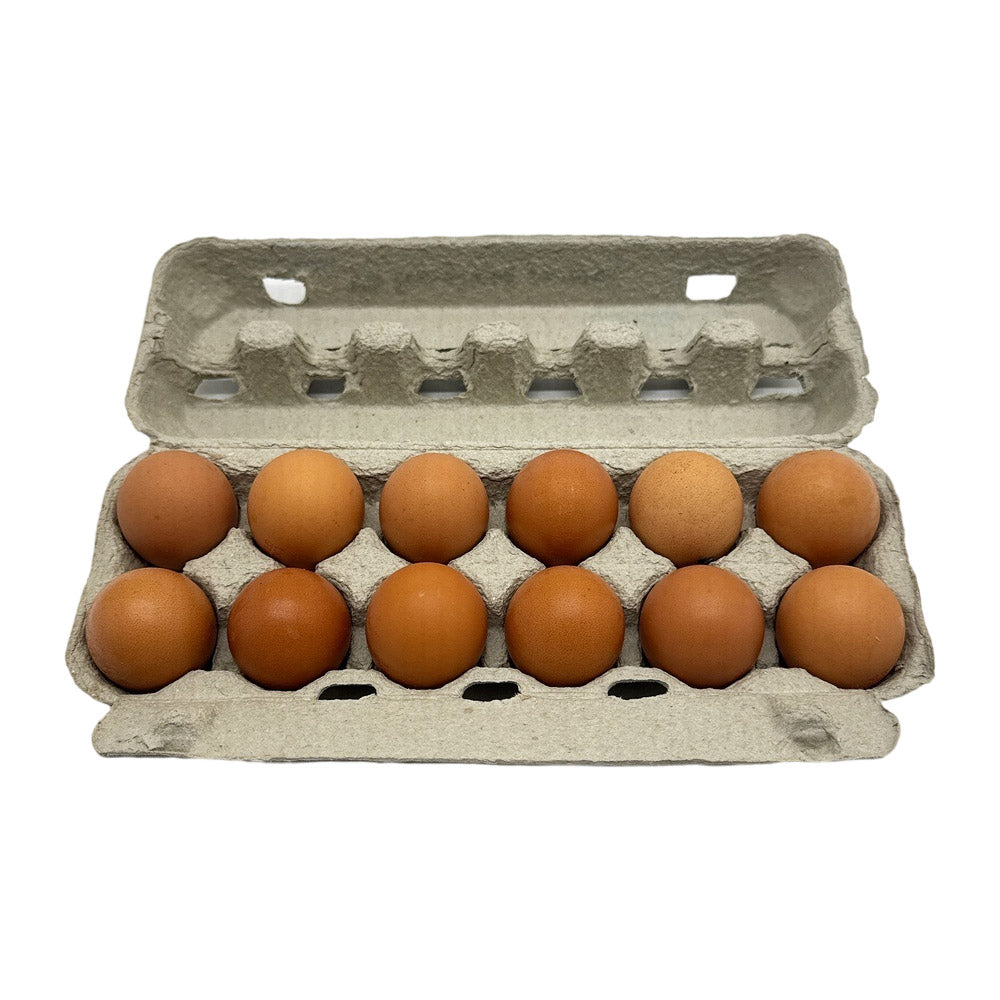 Pace Farm Caged Eggs Large 12 Pack 600g (Limit 1 PP)