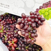 All Fruit at UMall Australia