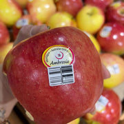 All Fruit at UMall Australia