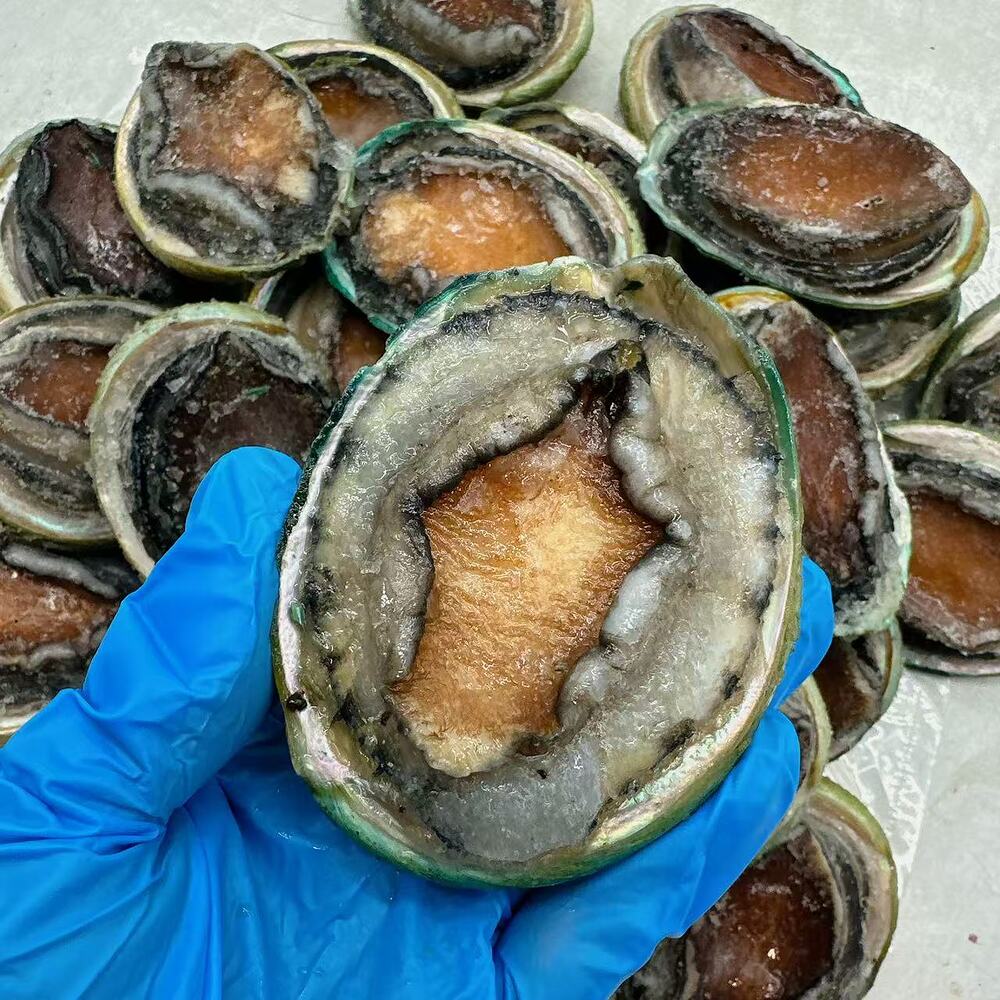 Frozen-Tiger-Abalone-–-12-Pieces-(Approx.-1-kg)---Wild-Caught-Whole-Shell-On-Gourmet-Seafood-2
