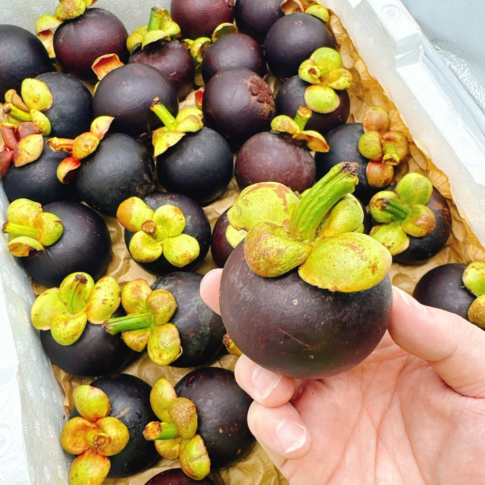 Fresh Air-Freighted Mangosteen - 800g