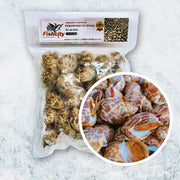 Xuất xứ Việt Nam at UMall Australia