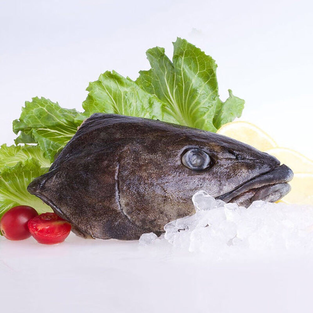 Glacier51-Frozen-Toothfish-Head---1.5kg-1