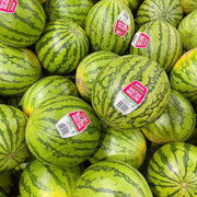 All Fruit at UMall Australia