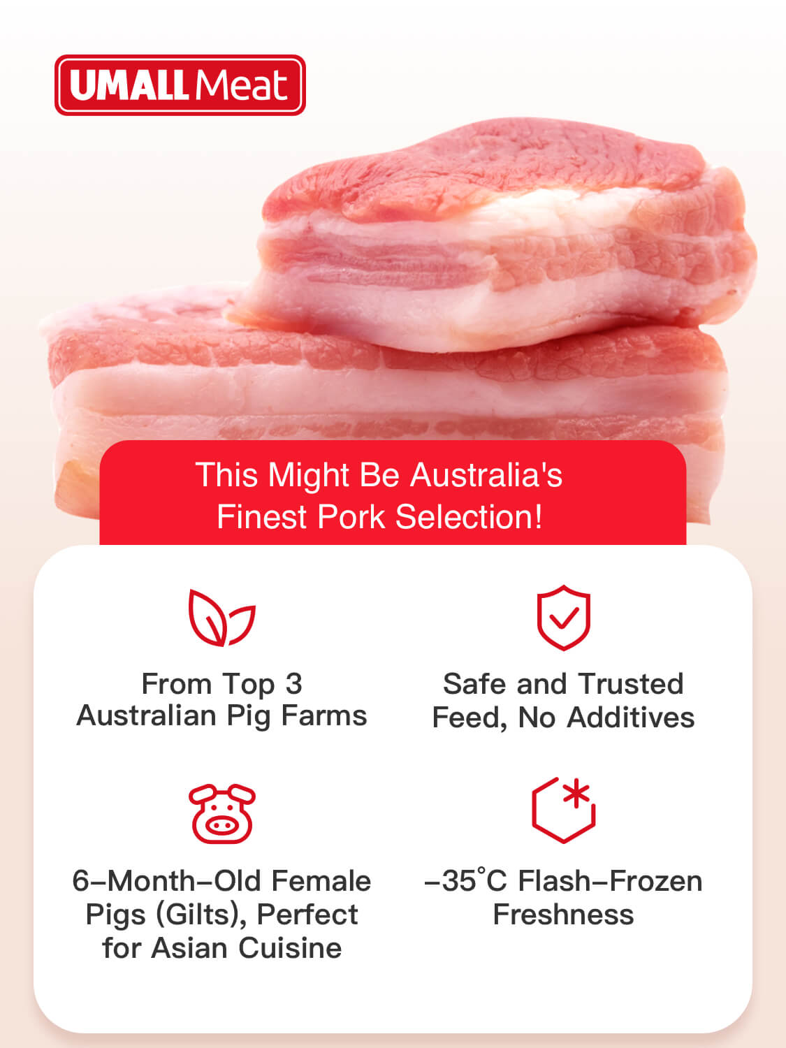 Pork Skin 500g