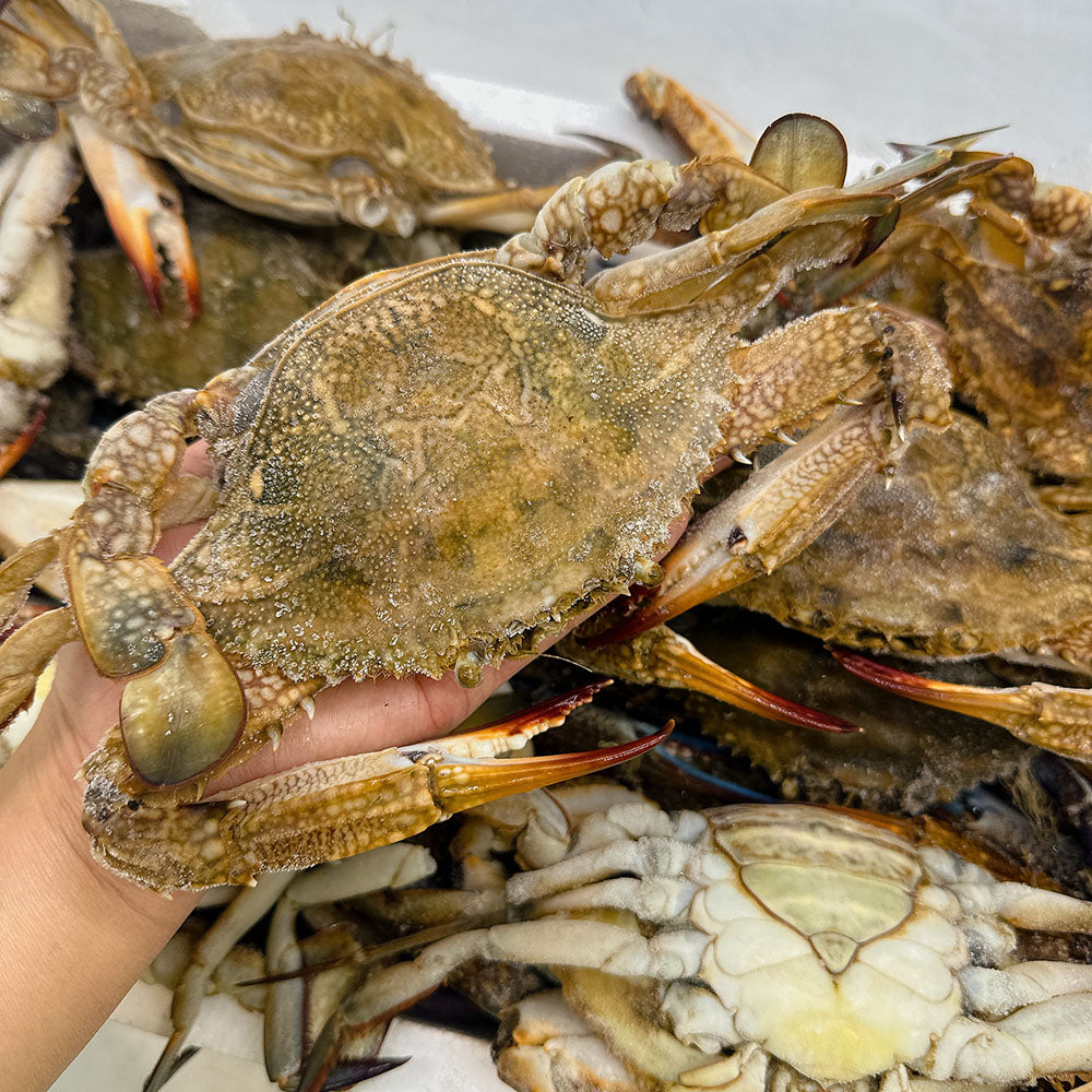 Frozen-Blue-Swimmer-Crab---4-Whole-Crabs,-1kg-1