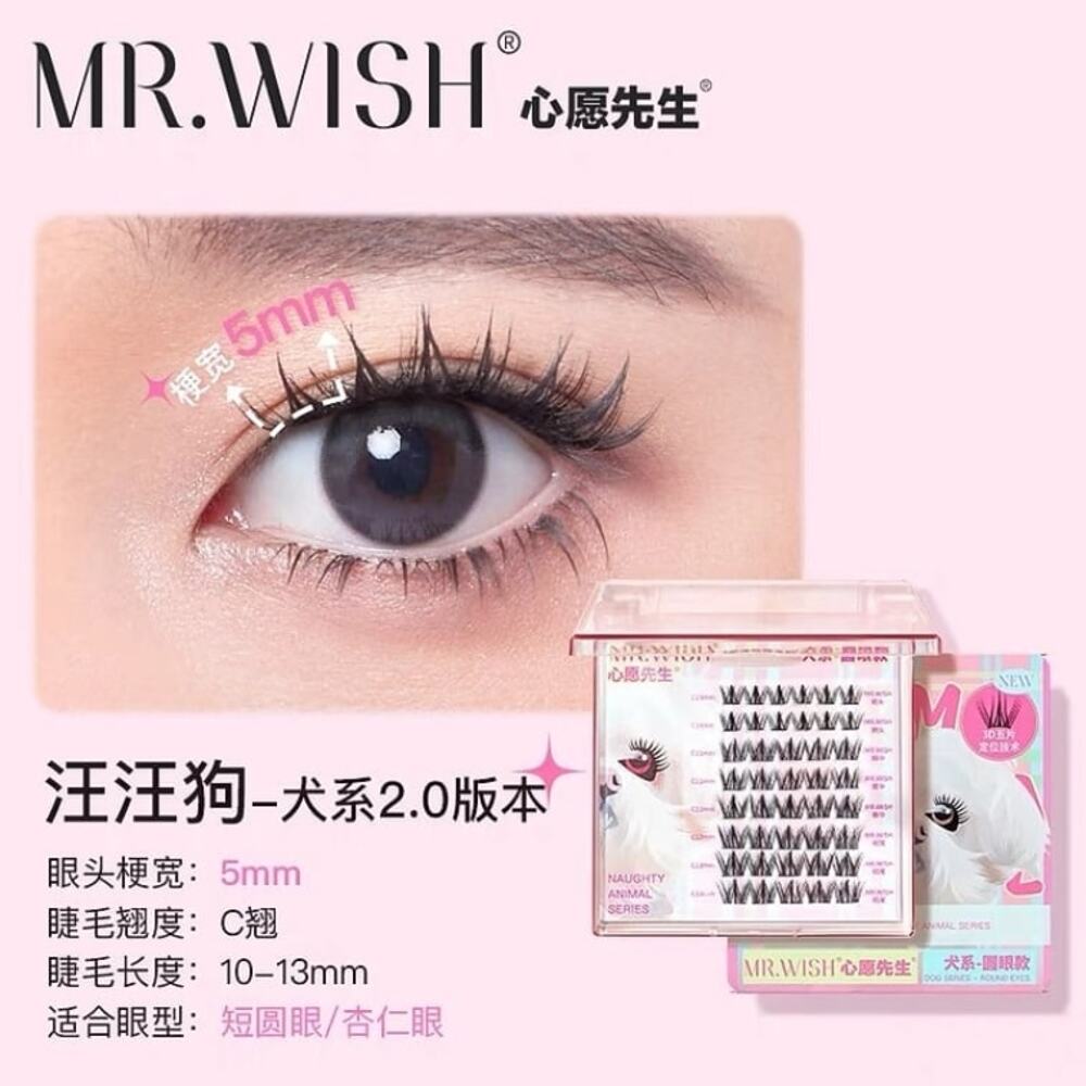 MR.WISH-Naughty-Animal-Series-Dog-Eye-Round-Effect-False-Eyelashes-–-C-Curl,-10–13-mm-Length,-5-mm-Band-Width---Wispy-Natural-Cluster-Lashes-for-Short-Round-&-Almond-Eyes-1
