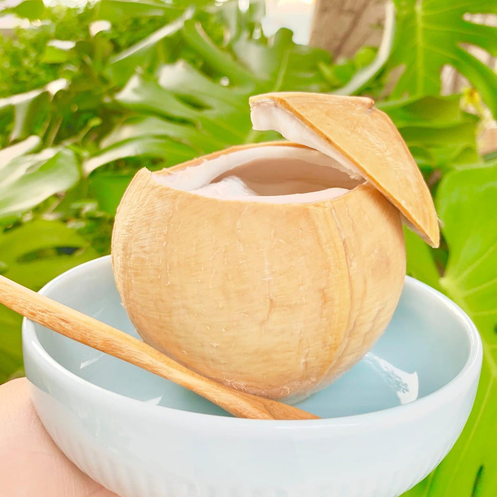 nc-coconut-coco-jelly-300g-frozen-coconut-dessert-in-natural-shell-2