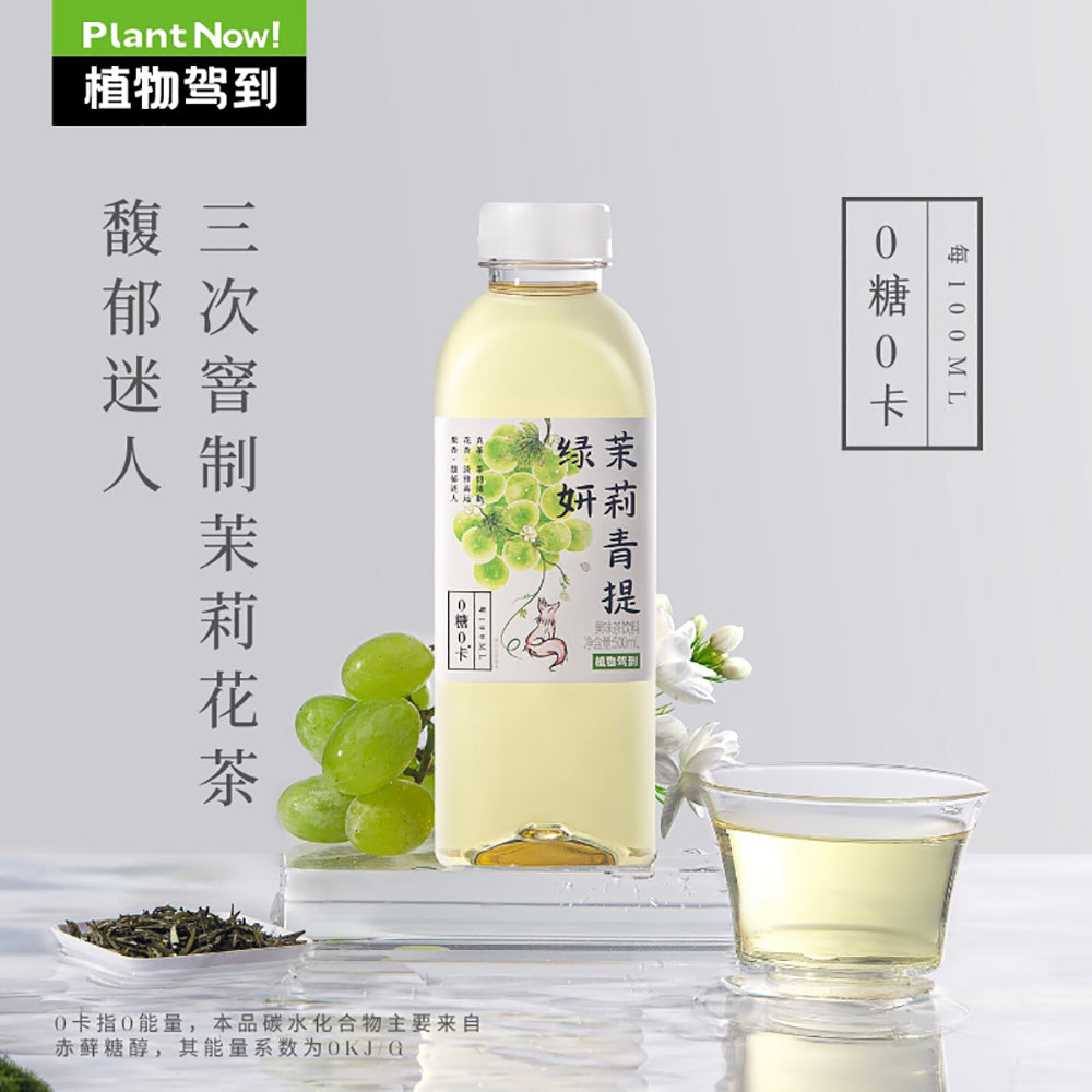 Zhiwu-Jiadao-Jasmine-&-Green-Grape-Sugar‑Free-Tea-–-500ml-x-15---Zero-Sugar,-Zero-Calorie-RTD-Tea-2