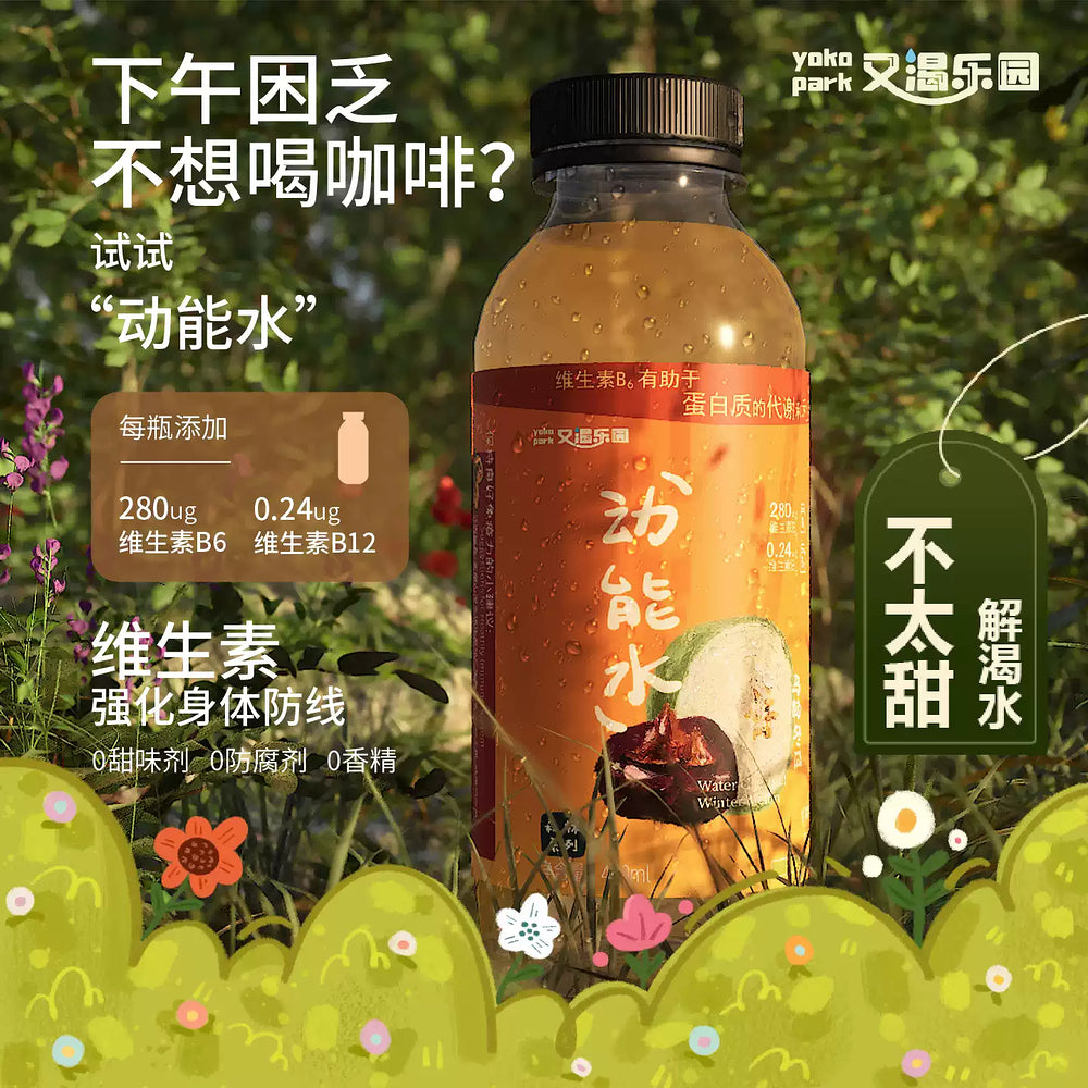 Youke-Paradise-Water-Chestnut-&-Winter-Melon-Drink-400ml-2