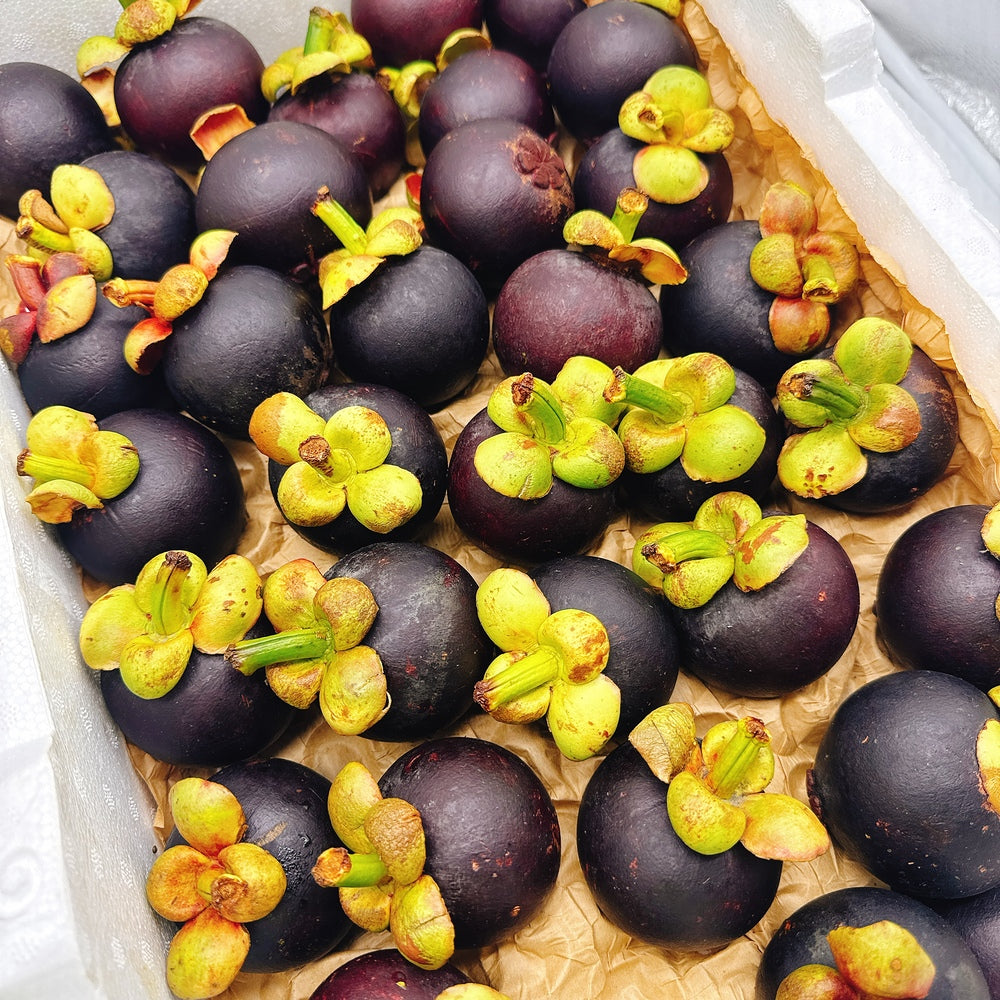 Fresh Air-Freighted Mangosteen - 800g