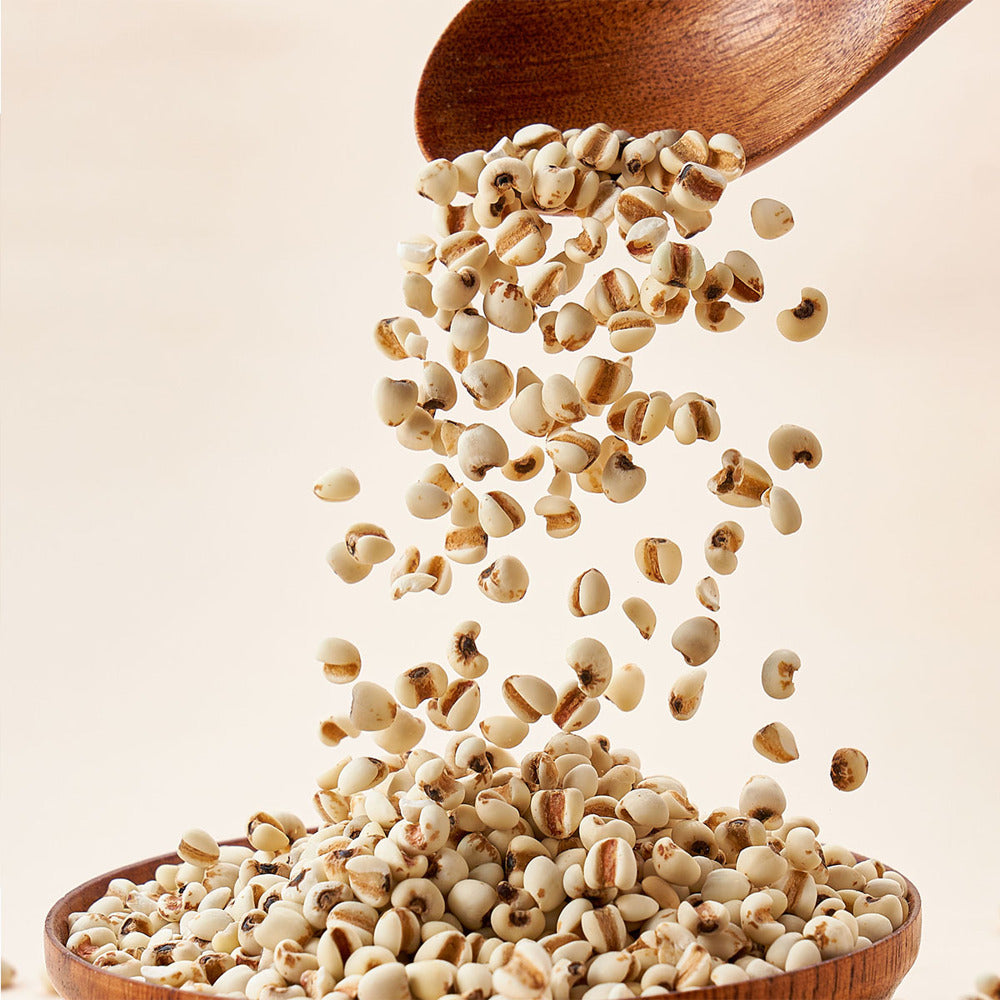 GuYue-Renjia-Small-Coix-Seeds-500g-–-Limited-Import---Job's-Tears-(Adlay)-2