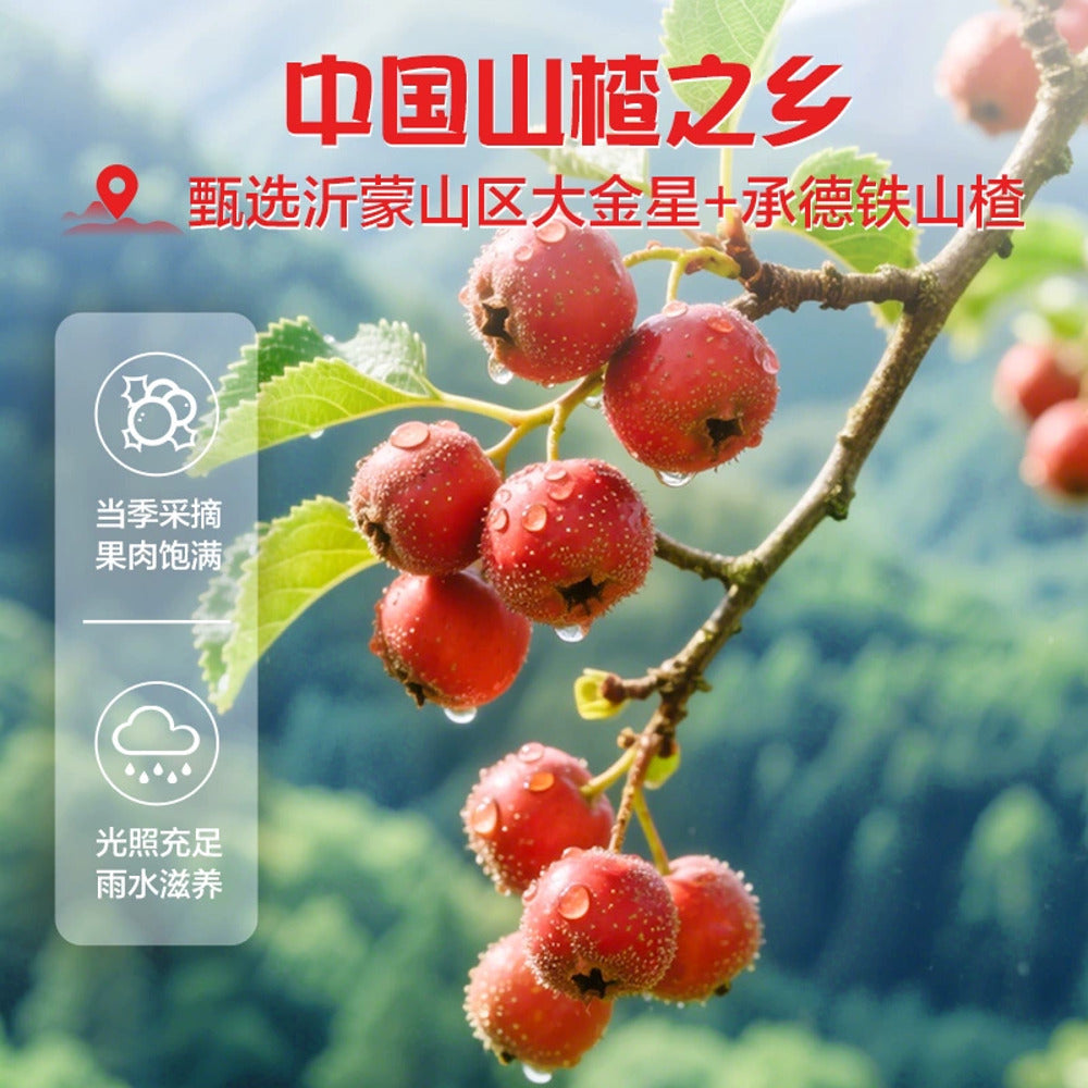 bestore-chicken-tanghulu-skewers-400g-sweet-glazed-chicken-meatball-sticks-individually-wrapped-2