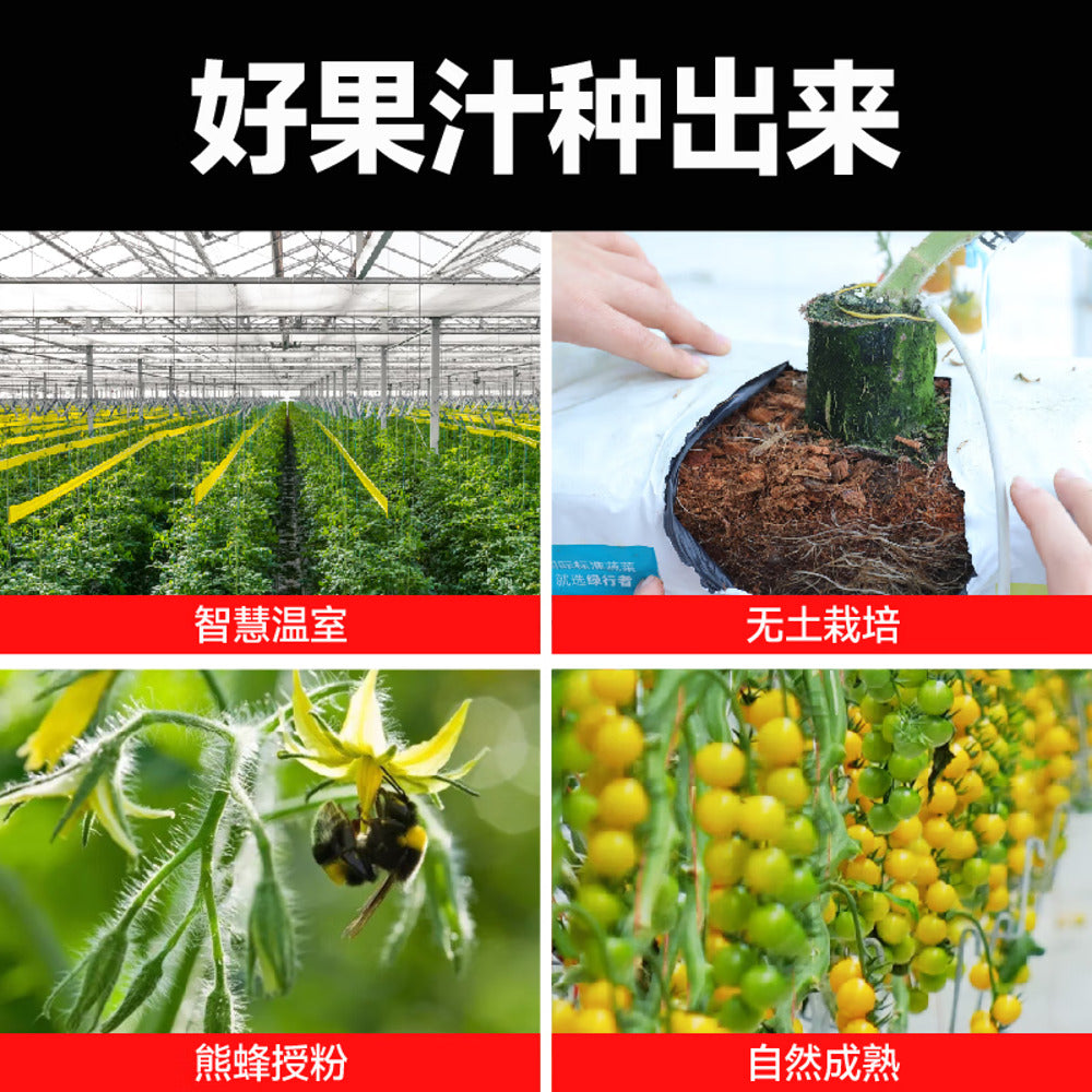 Yike-Da-100%-Yellow-Tomato-Juice-(NFC)-270g-–-No-Added-Sugar-2