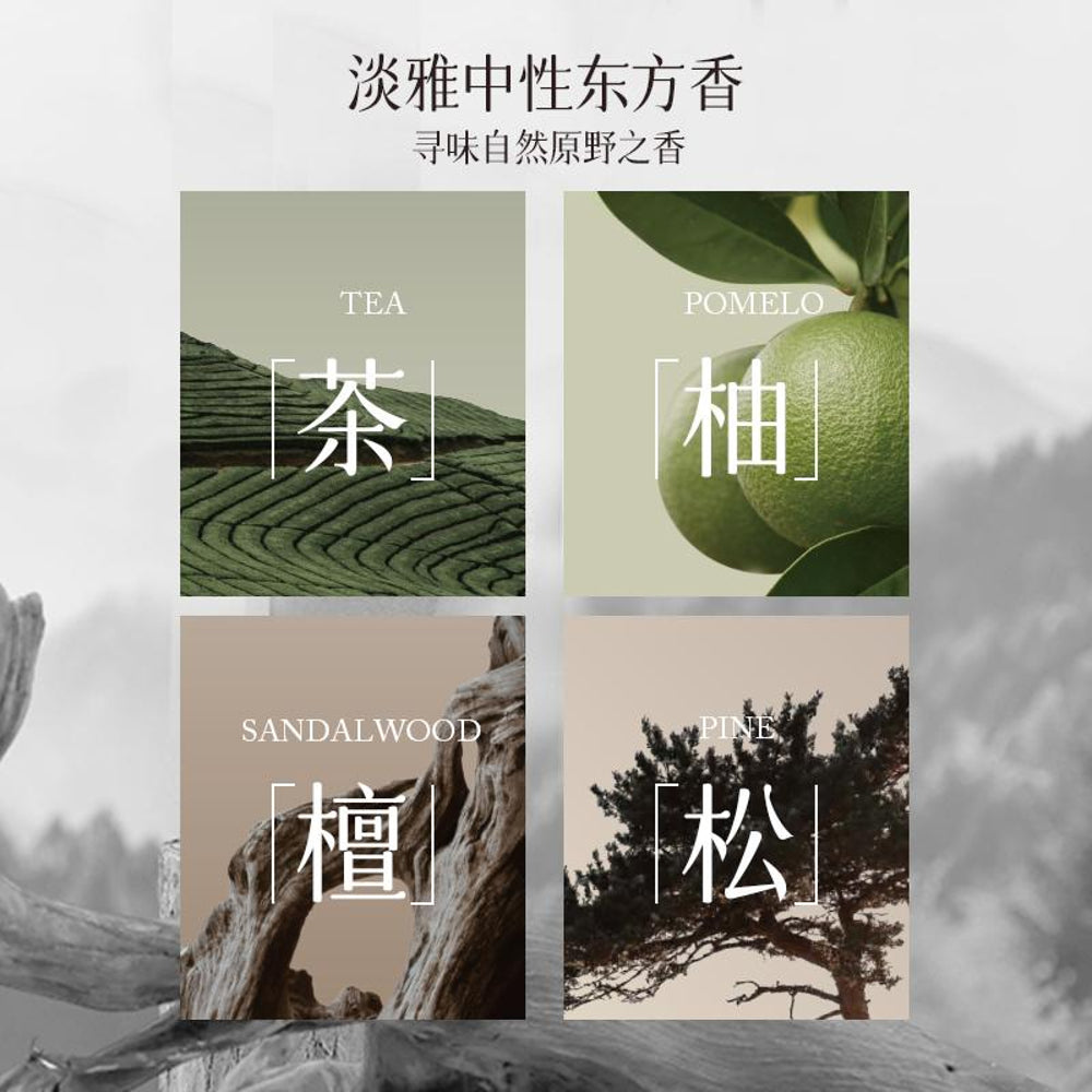 Airguard-Pine-Reed-Diffuser-110ml-–-Flameless-Home-Fragrance-2