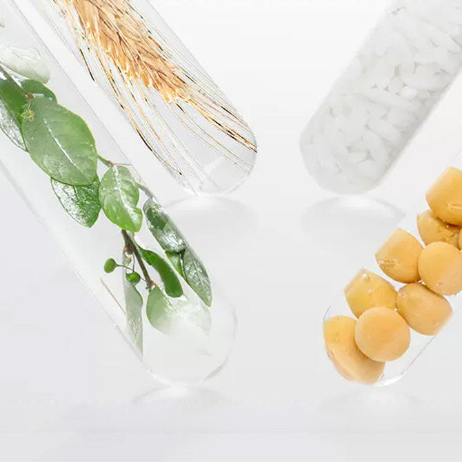 Purcotton 75% Alcohol Sanitizing Wipes - 50 Sheets