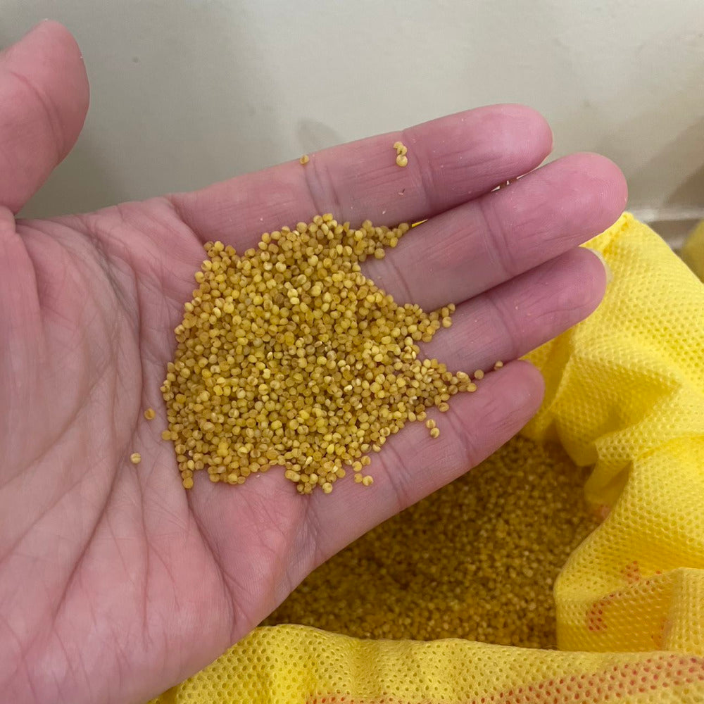 Qinzhou-Huang-Premium-Yellow-Foxtail-Millet-2.5kg-2