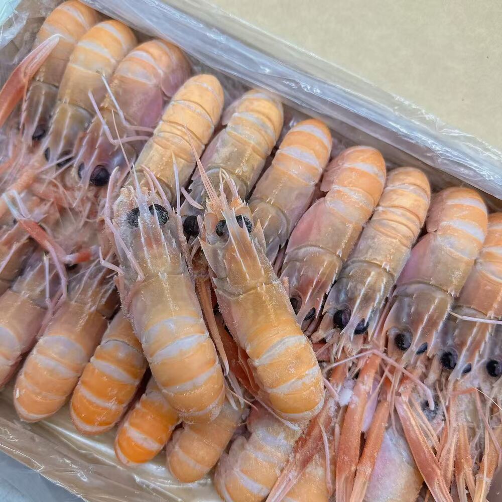 Austfish-Export-Grade-Wild-Scampi-(Langoustine)-No.4-–-1kg-Box-1