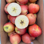 All Fruit at UMall Australia