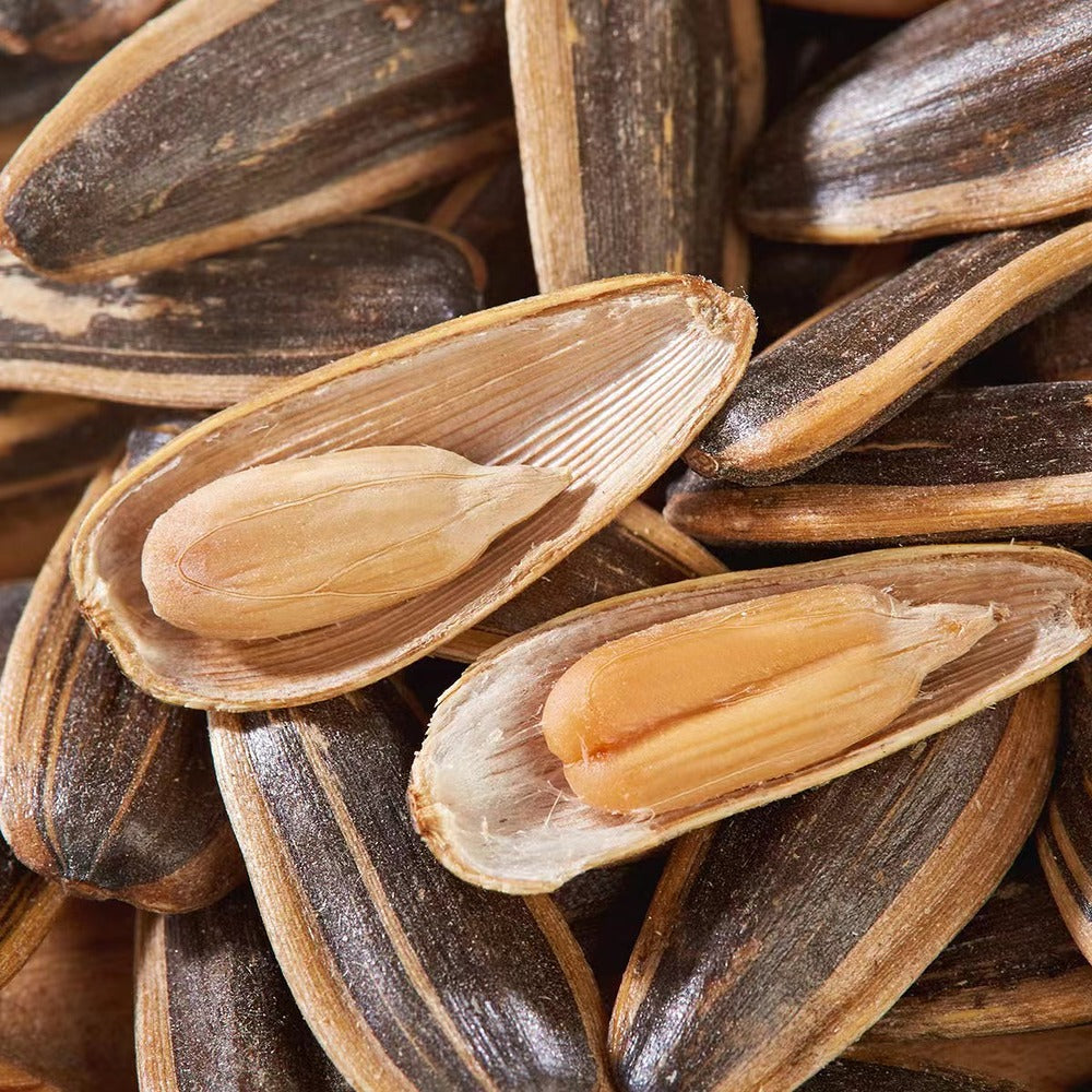 Aldi-Delight-Hickory-Nut-Flavor-Sunflower-Seeds-208g-–-Limited-Import-3