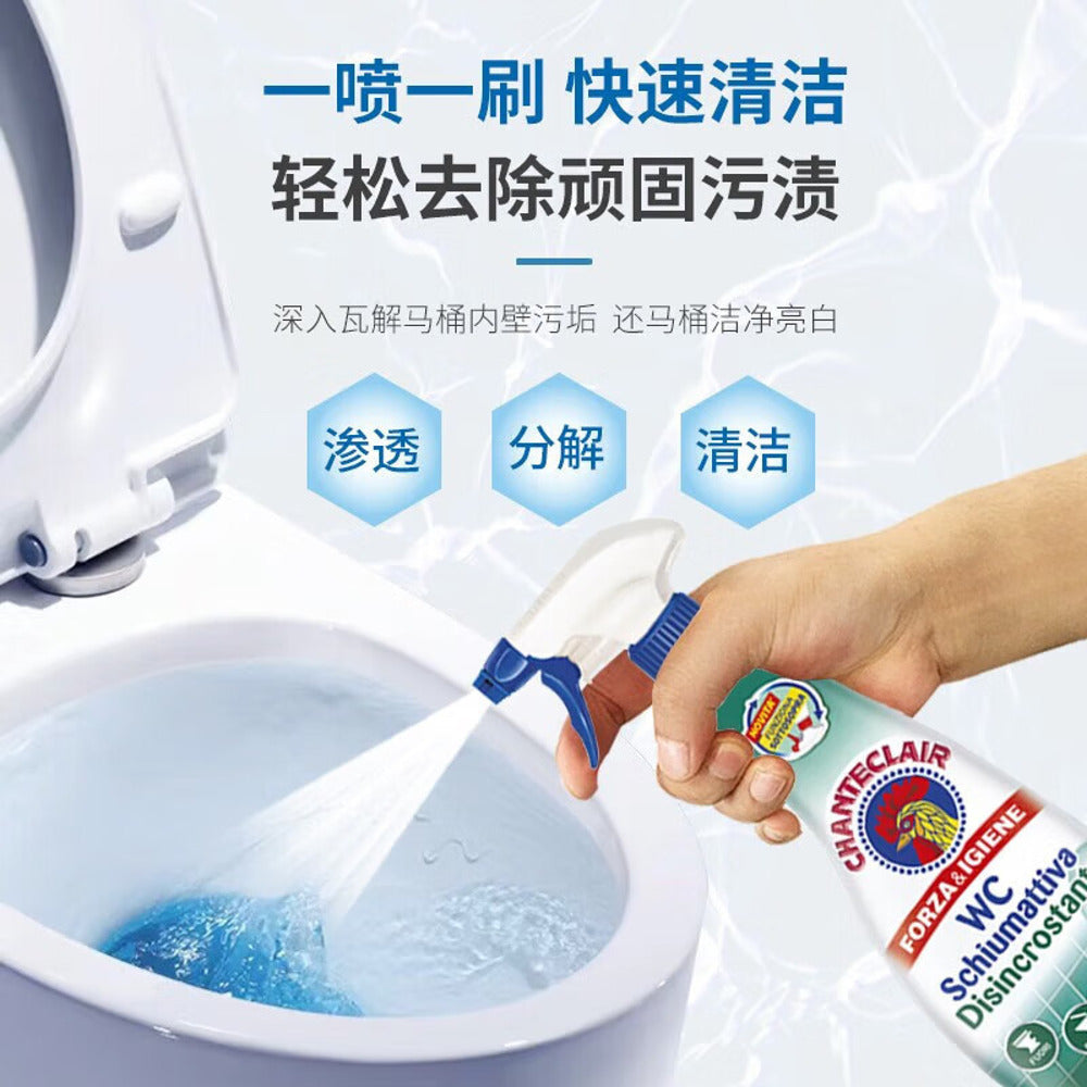 Chanteclair-Foaming-Descaling-Toilet-Cleaner-Spray-625ml-3