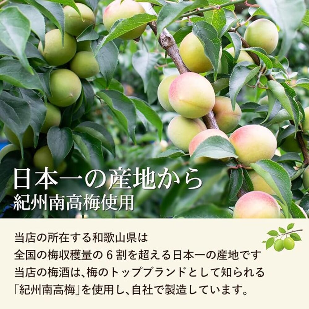 Kishu-Wakayama-Umeshu-Plum-Wine-9%-100ml-–-Japanese-Plum-Liqueur-Cup-3