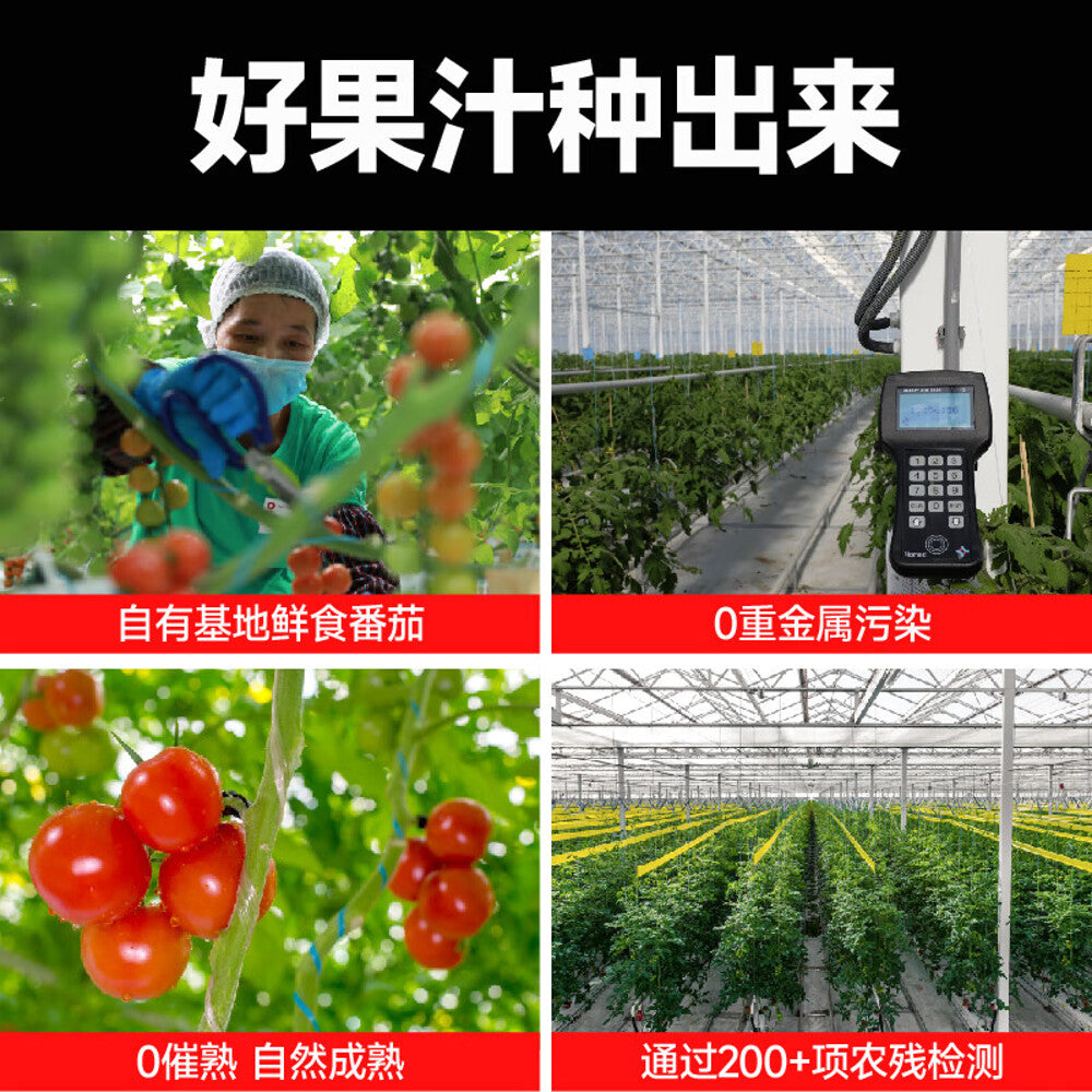 Yikeda-Tomato-Sour-Plum-&-Roselle-Drink-450ml-–-No-Added-Sugar-3