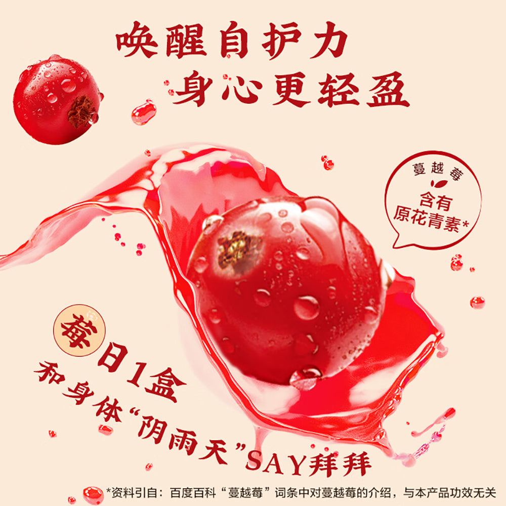 Huiyuan-Northeastern-Limited-Edition-Cranberry-Juice---200ml-X2-1