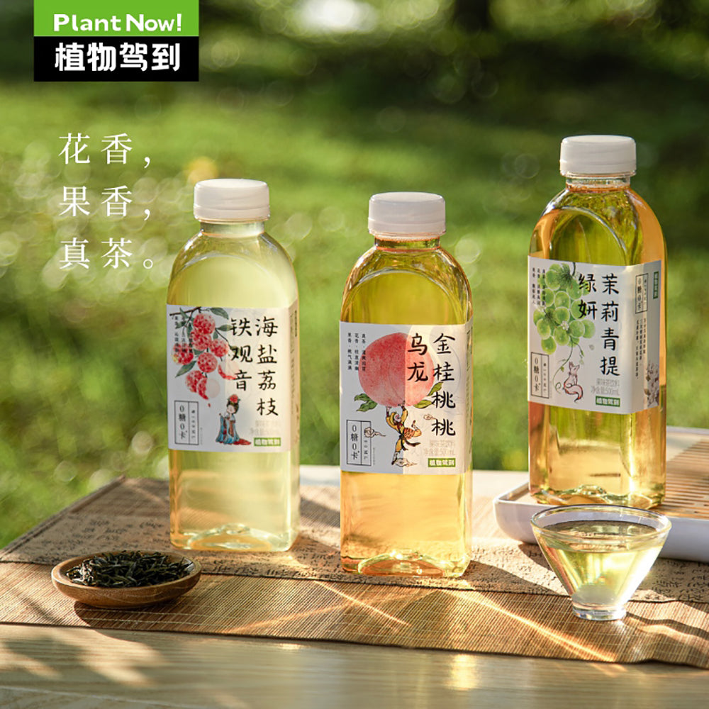 Zhiwu-Jiadao-Jasmine-&-Green-Grape-Sugar‑Free-Tea-–-500ml-x-15---Zero-Sugar,-Zero-Calorie-RTD-Tea-3