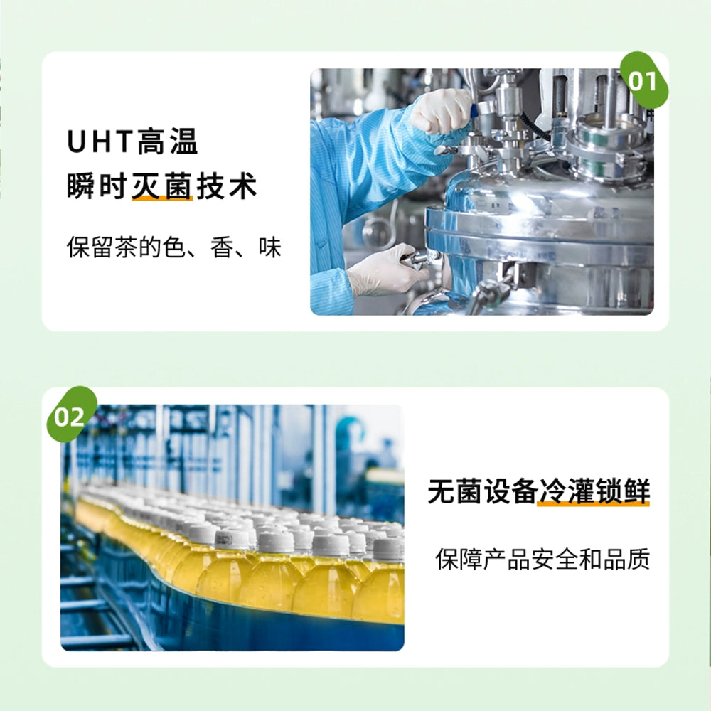 Cha-Xiaokai-Unsweetened-Longjing-(Dragon-Well)-Green-Tea-–-Ready-to-Drink-500ml-3