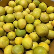 All Fruit at UMall Australia