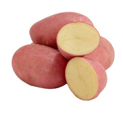Best Sellers at UMall Australia