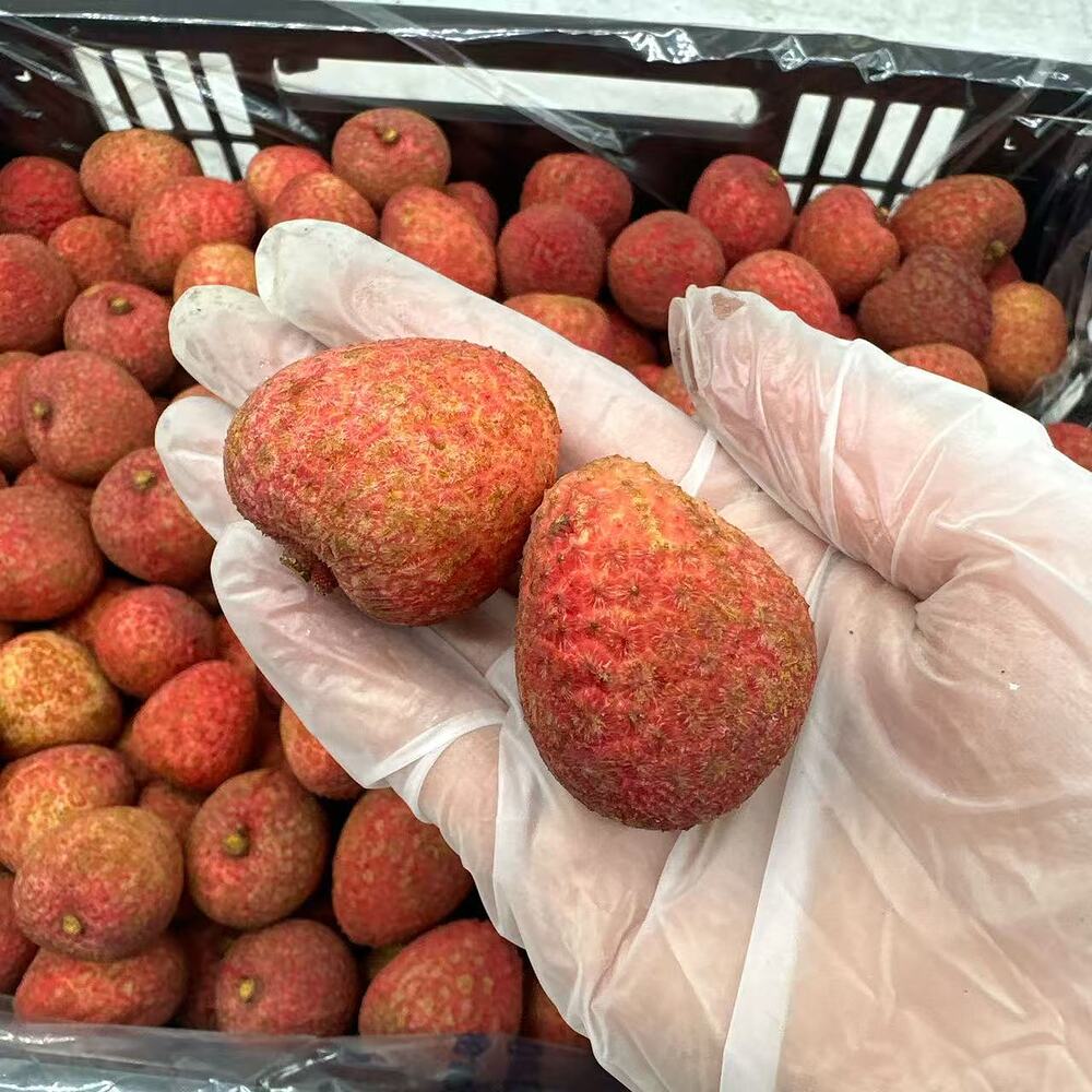 australian-souey-tung-lychees-approx-5kg-carton-3