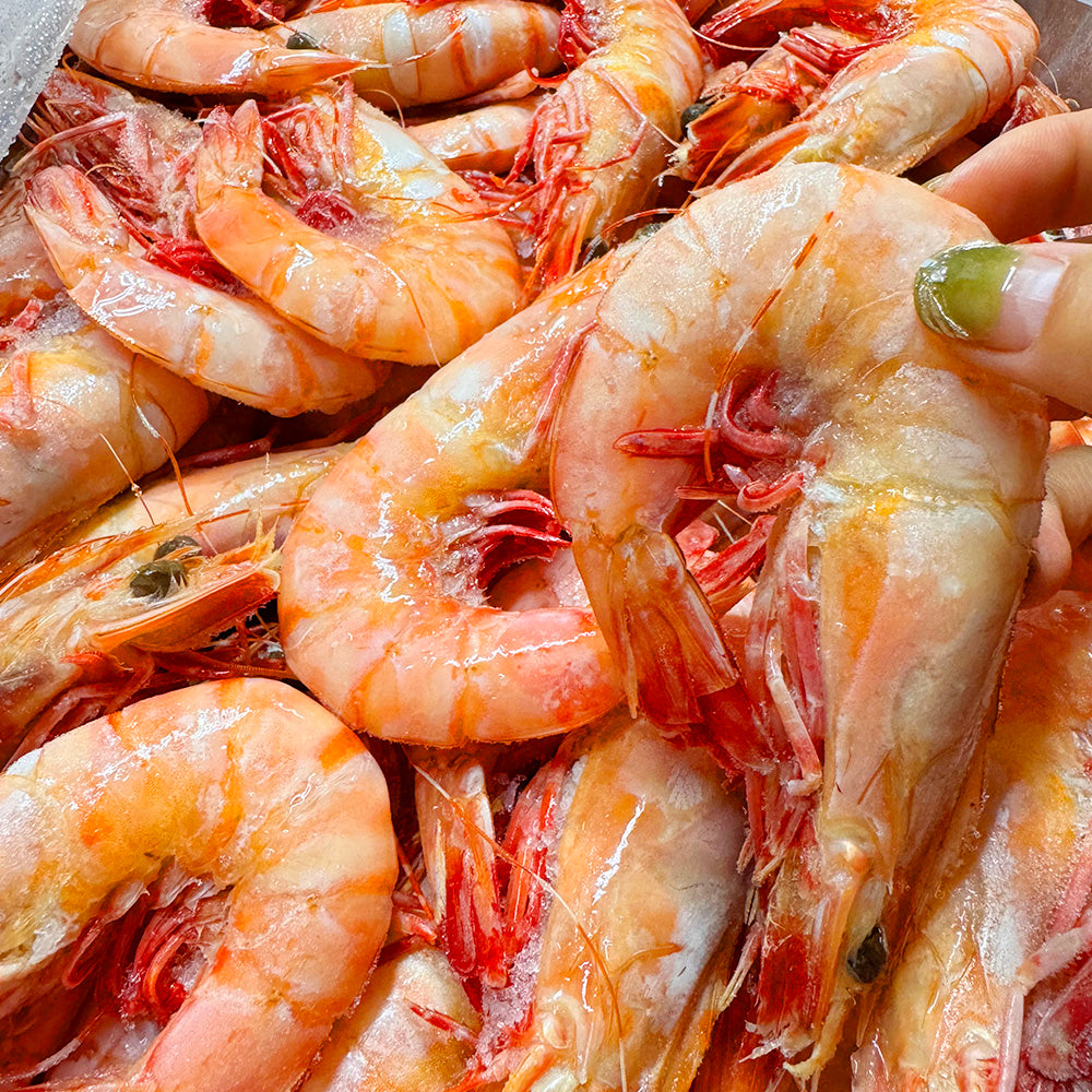 Frozen Cooked King Prawns U10/15 - 1kg-1