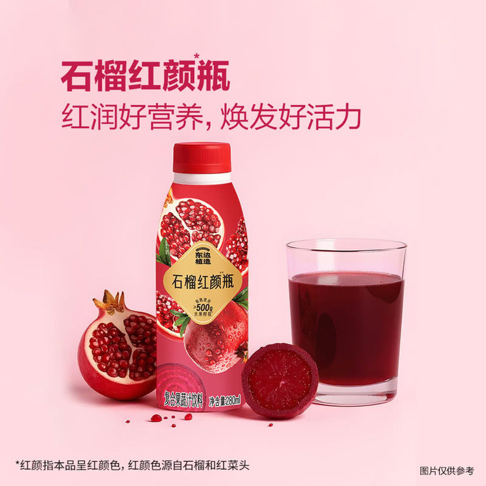DONG-PLANT-Pomegranate-&-Beetroot-Juice-Drink-280-mL-x-20---90%-Juice-with-Prebiotic-Fibre-4