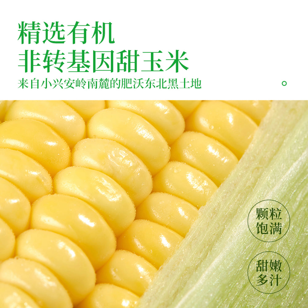 Liuyang-Organic-Fresh-Corn-Juice-230g-4